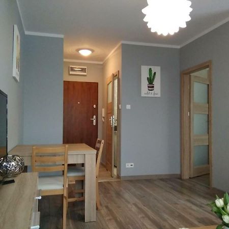 Apartament Edelmana Apartment Gorzow Wielkopolski Exterior photo